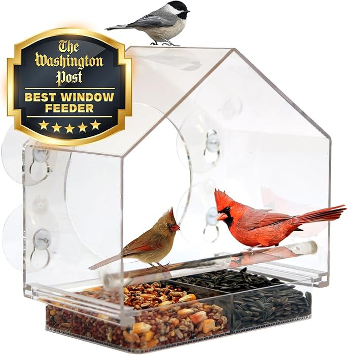Nature Anywhere Window Bird Feeder - Transparent Acrylic Bird Feeders for Outdoors - Enhanced Suc... | Amazon (US)
