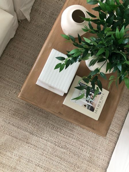 Another view of my favorite rug and must have coffee table items!

Coffee tables, coastal home design, coastal designs, coastal furniture, coastal rugs, neutral rugs, woven rugs, jute rugs, coffee table decor, tabletop decor, vases, stems, Presidents’ Day sales, rug sales

#LTKhome #LTKSale #LTKsalealert