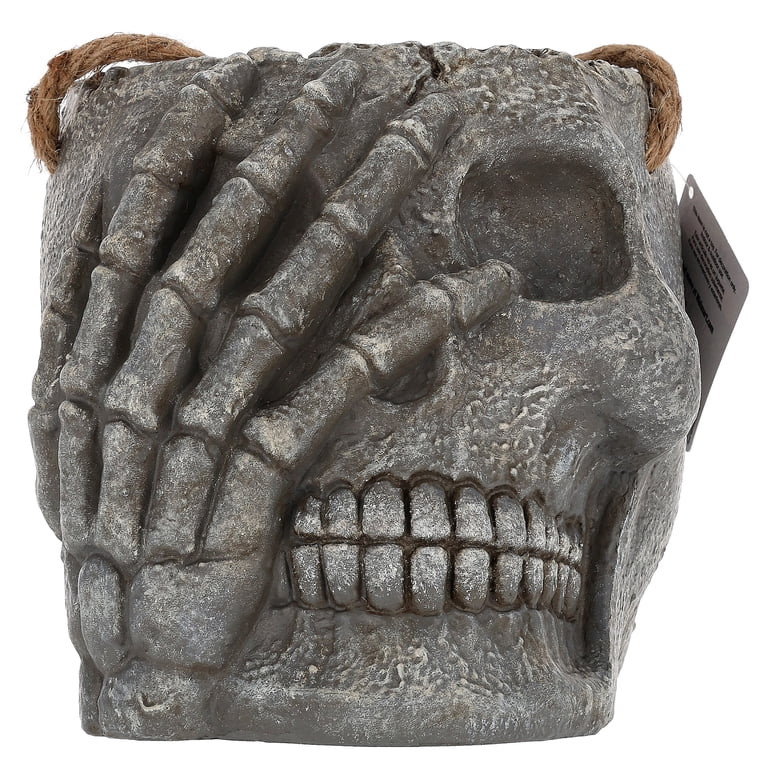 Blow Mold Skull Hanging Holder, Gray, Halloween by Way To Celebrate | Walmart (US)