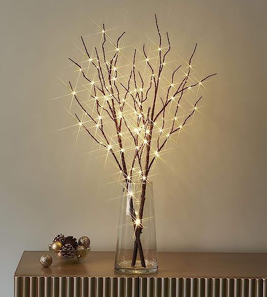 LITBLOOM Lighted Brown Willow Branches 32IN 100 LED with Timer Battery Operated, Tree Branch with... | Amazon (US)