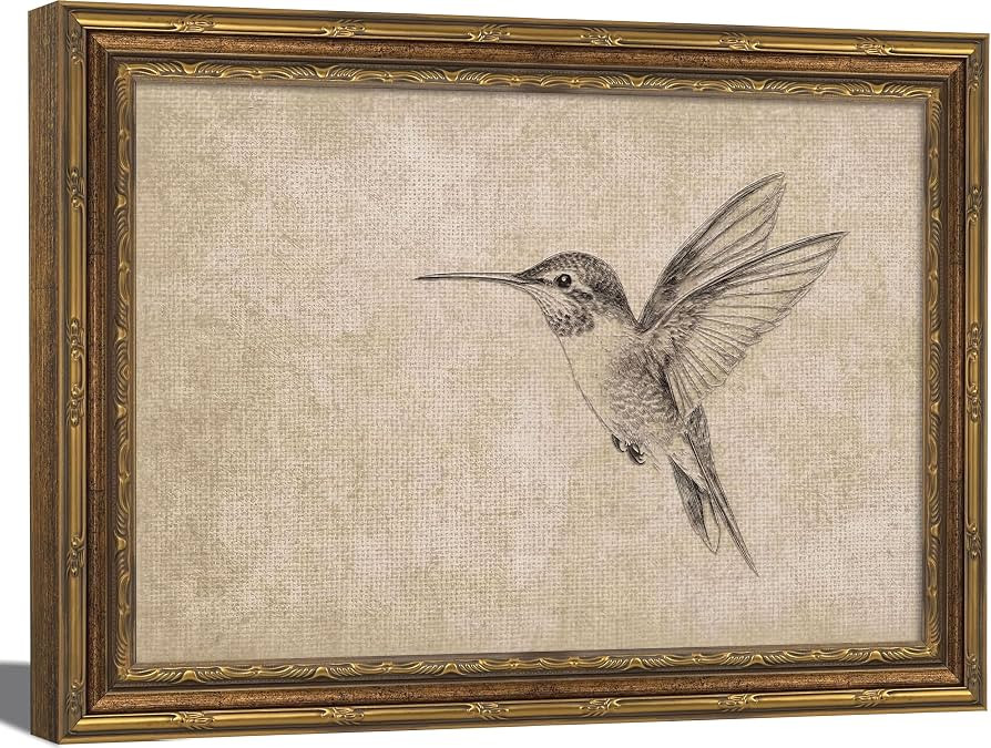 Gold Framed 3D Textured Wall Art, Vintage Sketch Hummingbird Canvas Prints, Minimalist Neutral Bi... | Amazon (US)