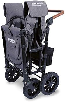 WONDERFOLD W2 Luxe Multi-Function 2 Passenger Folding Stroller Wagon with Adjustable Handle Bar a... | Amazon (US)