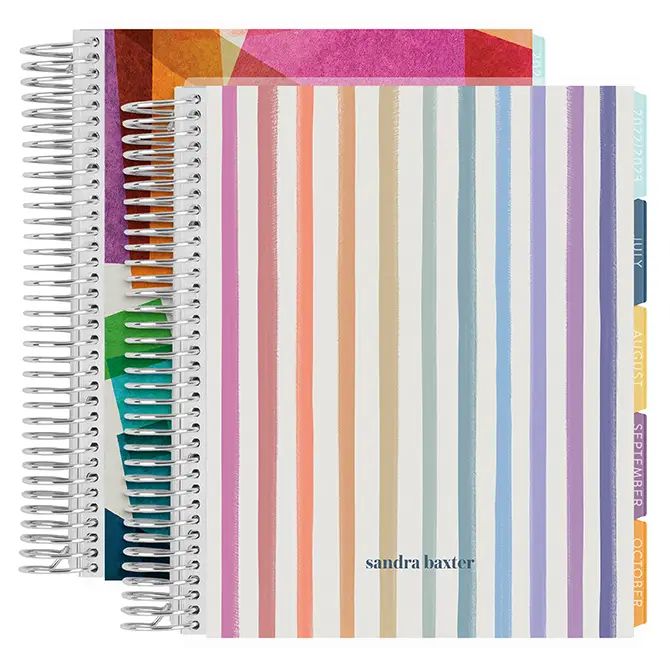 Watercolor Stripes Daily LifePlanner™ Duo | Erin Condren | Erin Condren