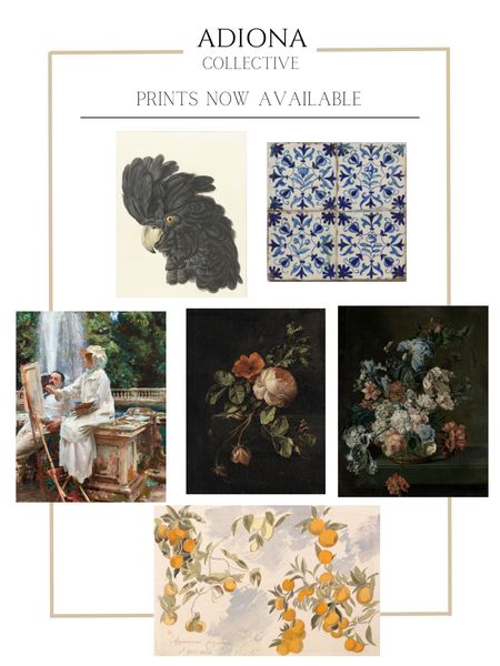Vintage art prints now available on Etsy

Bird art, animal art, tile, floral art, botanical art

#LTKsalealert #LTKSeasonal #LTKhome
