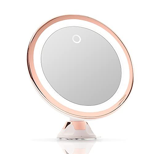 Fancii 10X Magnifying Makeup Mirror with True Natural Light and Locking Suction - 8 inch Large Light | Amazon (US)