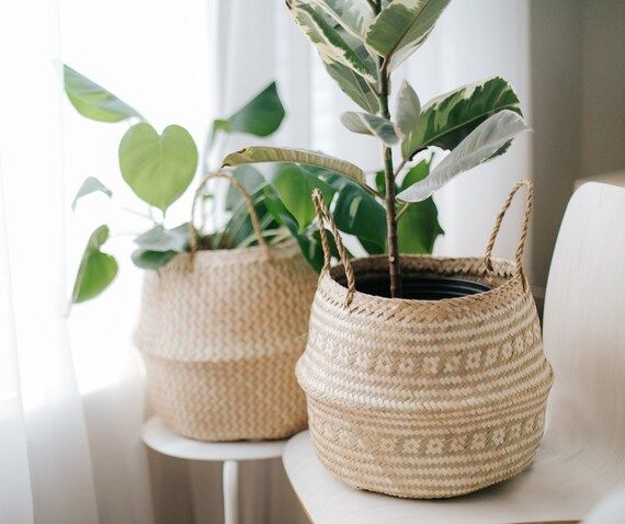 Belly basket, foldable basket, seagrass basket, woven basket, woven planter, plant basket, plante... | Etsy (US)