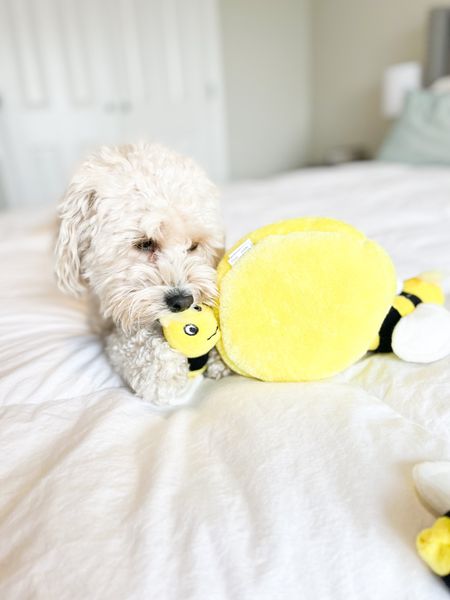 Bee themed dog toys for your little sweetie this spring 🐝