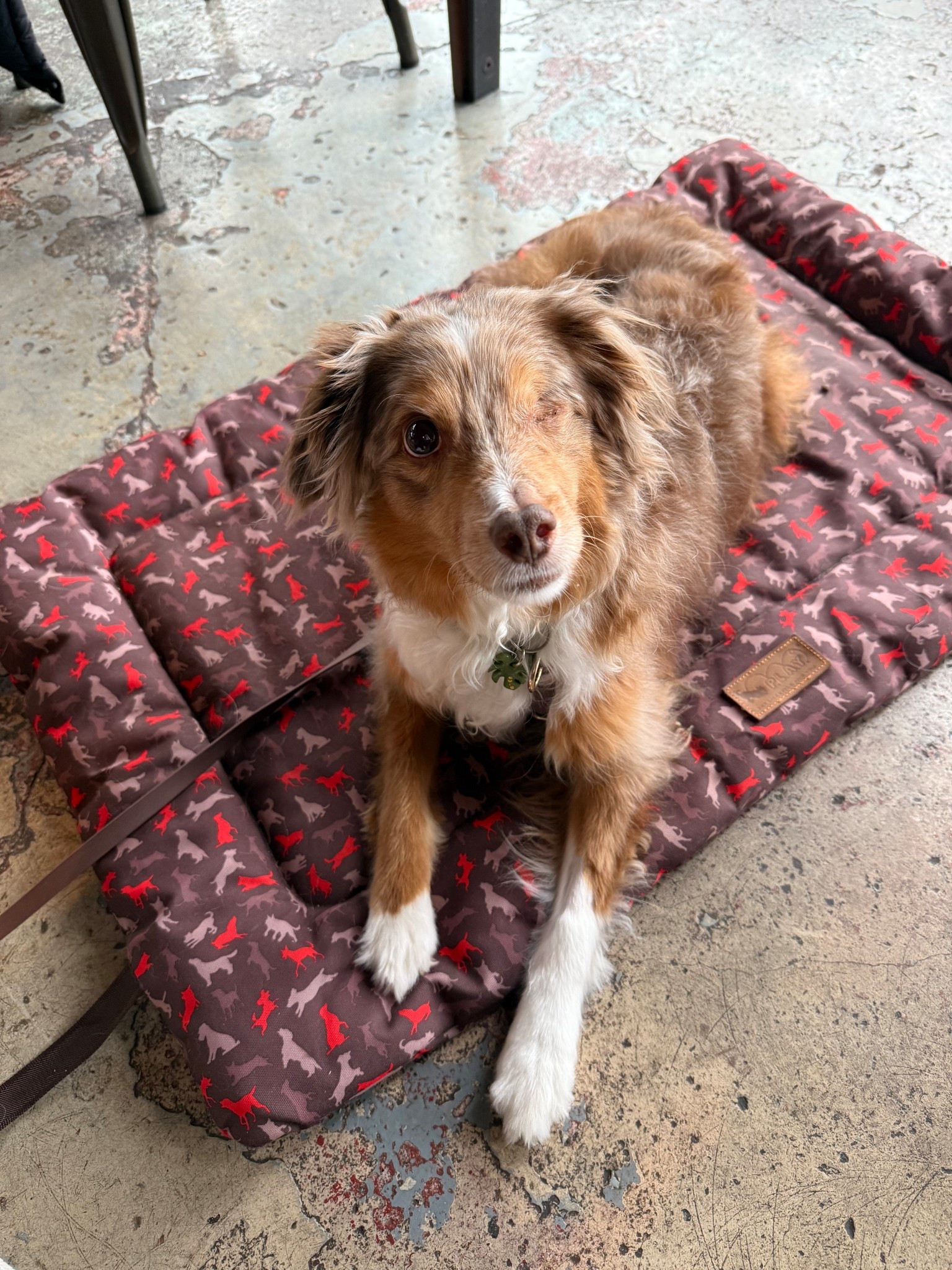 Essentials for “place” training! 