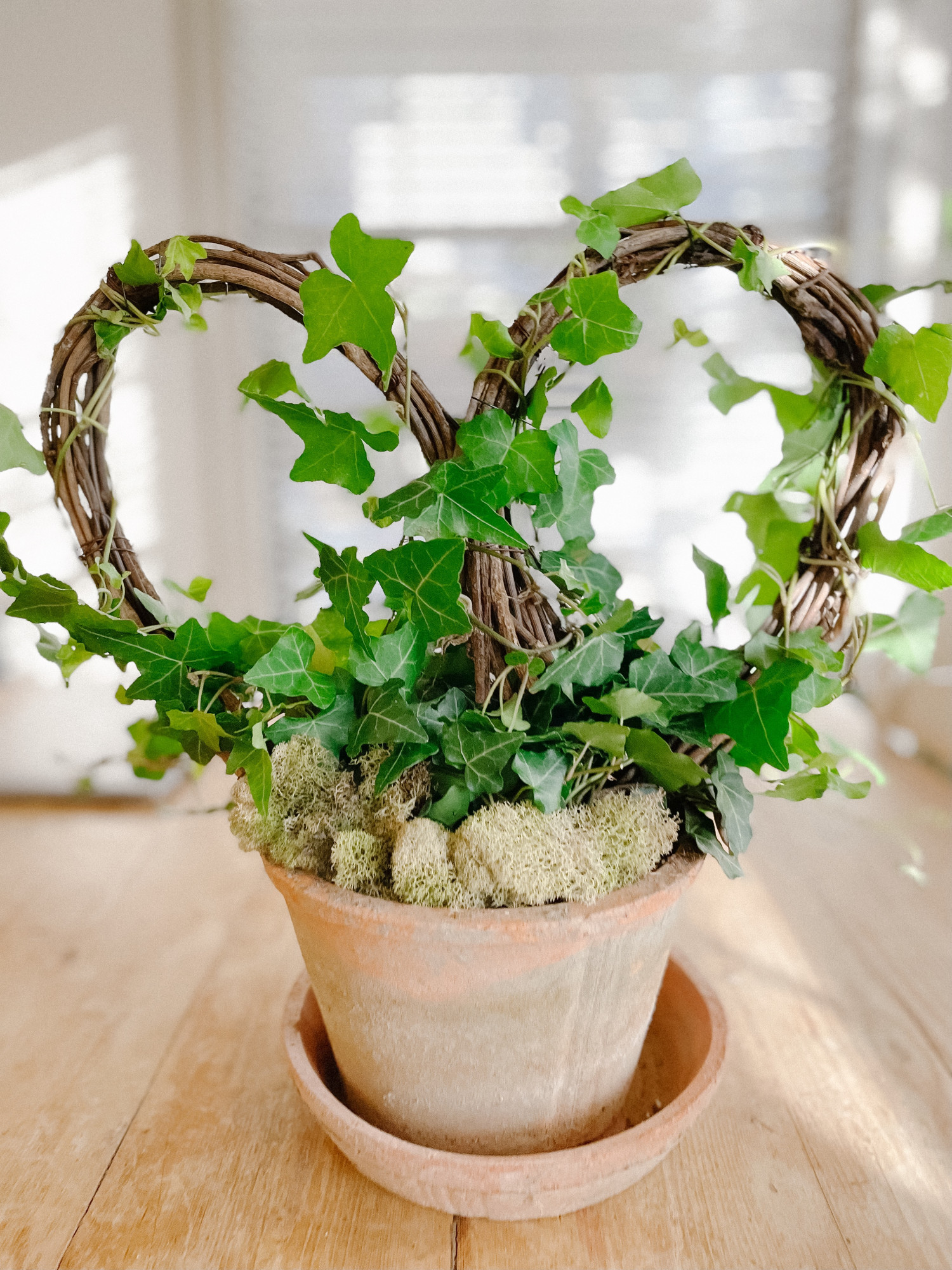 Homemade Topiary in a vase to give as a Valentine's Day Gift. More ideas like this on DoSayGive.com  

 #LTKSeasonal #LTKHome #LTKFindsUnder50