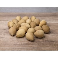 Box Of 20 Large Dried Hard Shell Gourd Eggs | Etsy (US)