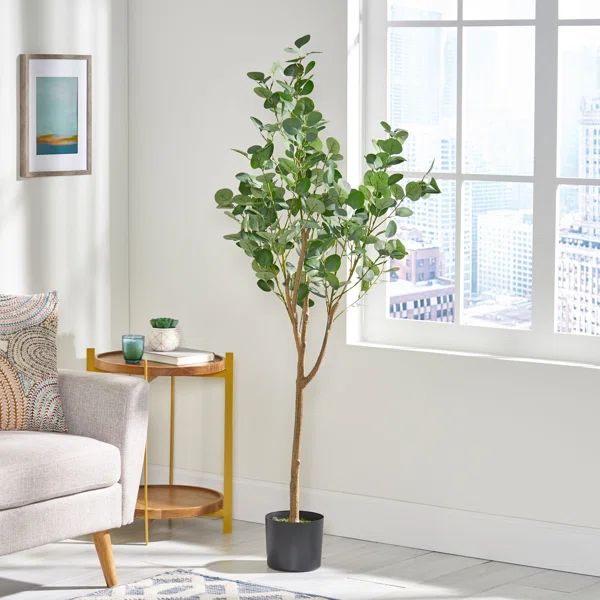Aanya Artificial Eucalyptus Tree in Pot | Wayfair North America