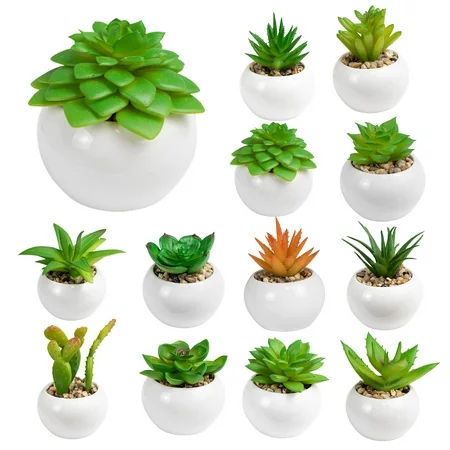 Shenmeida Artificial Succulent Plants in Pots Fake Small Greenery Potted Succulent Plants for Shelf  | Walmart (US)