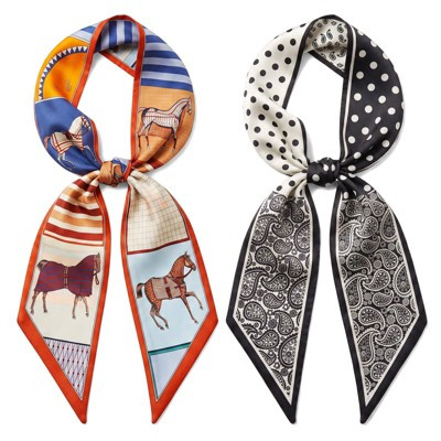 Wrapables 2 Piece Womens Silky Feeling Long Skinny Scarf Set, 55.5 x 5.15 Inch Satin Neck Scarf, Horse and Paisley | Target