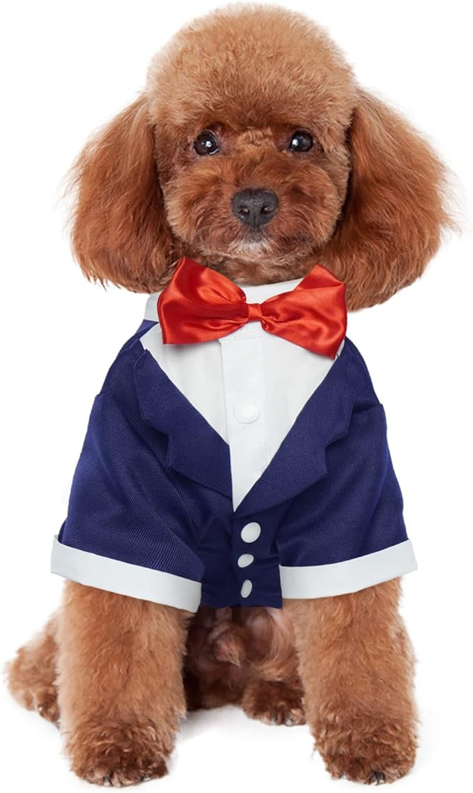 Kuoser Dog Shirt Puppy Pet Small Dog Clothes, Stylish Suit Bow Tie Costume, Wedding Shirt Formal ... | Amazon (US)