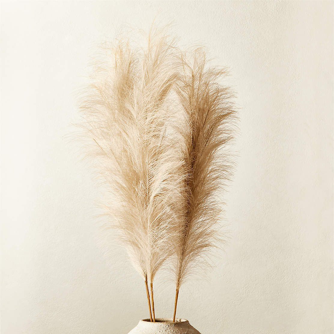 Faux Pampas Grass Ivory Stem 39" Set of 3 + Reviews | CB2 | CB2