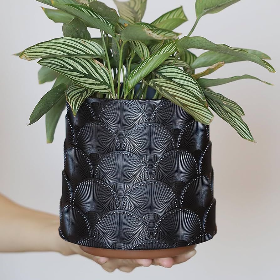 GUGUGO Pearl Black Scale Planter, Cute Unique Plant Pot with Drainage, Eclectic Colorful Small Fl... | Amazon (US)
