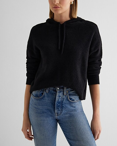 Plush Knit Hooded Sweater | Express