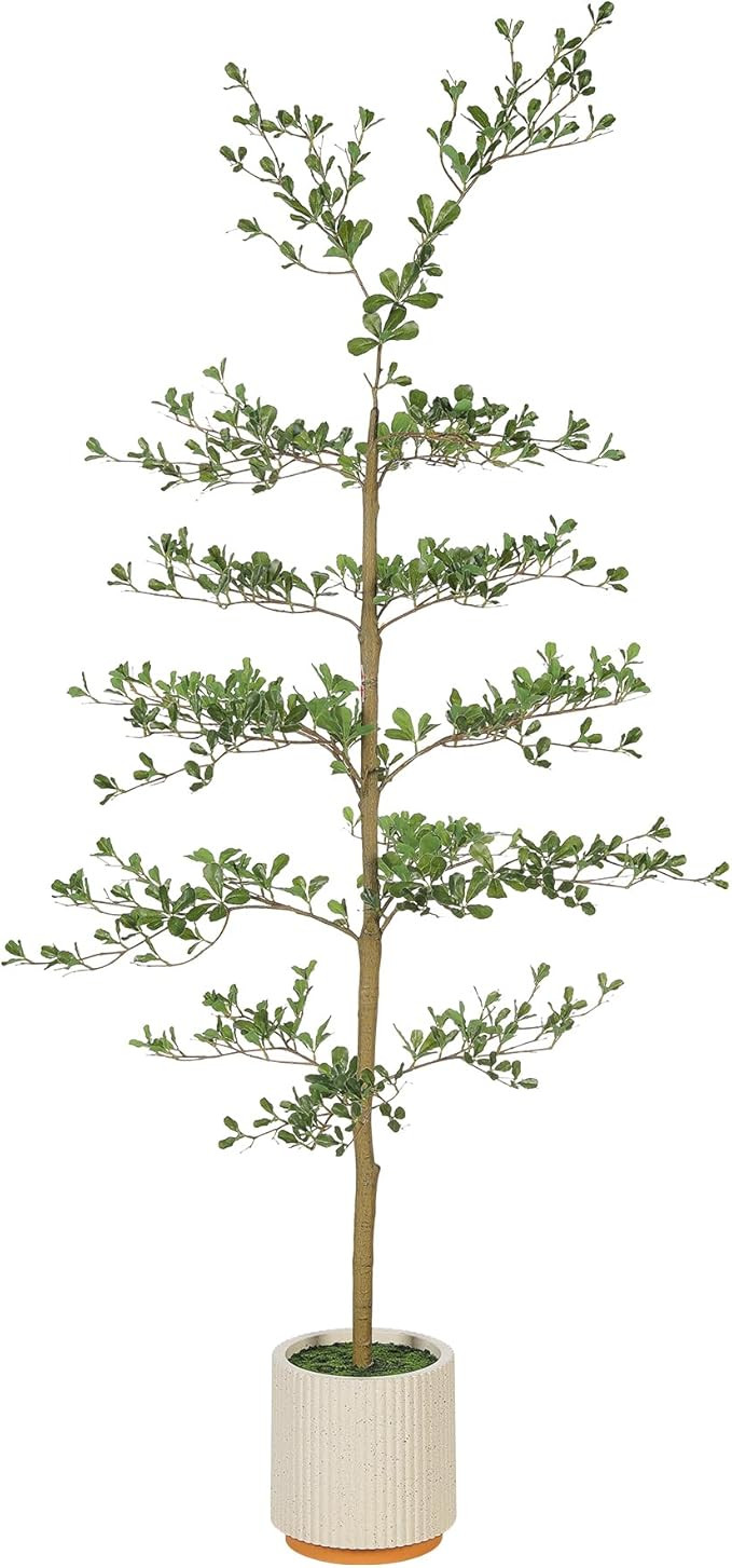 Faux Black Olive Tree 6ft - Realistic Artificial Shady Lady Tree 6 Feet with Pot Indoor Fake Blac... | Amazon (US)