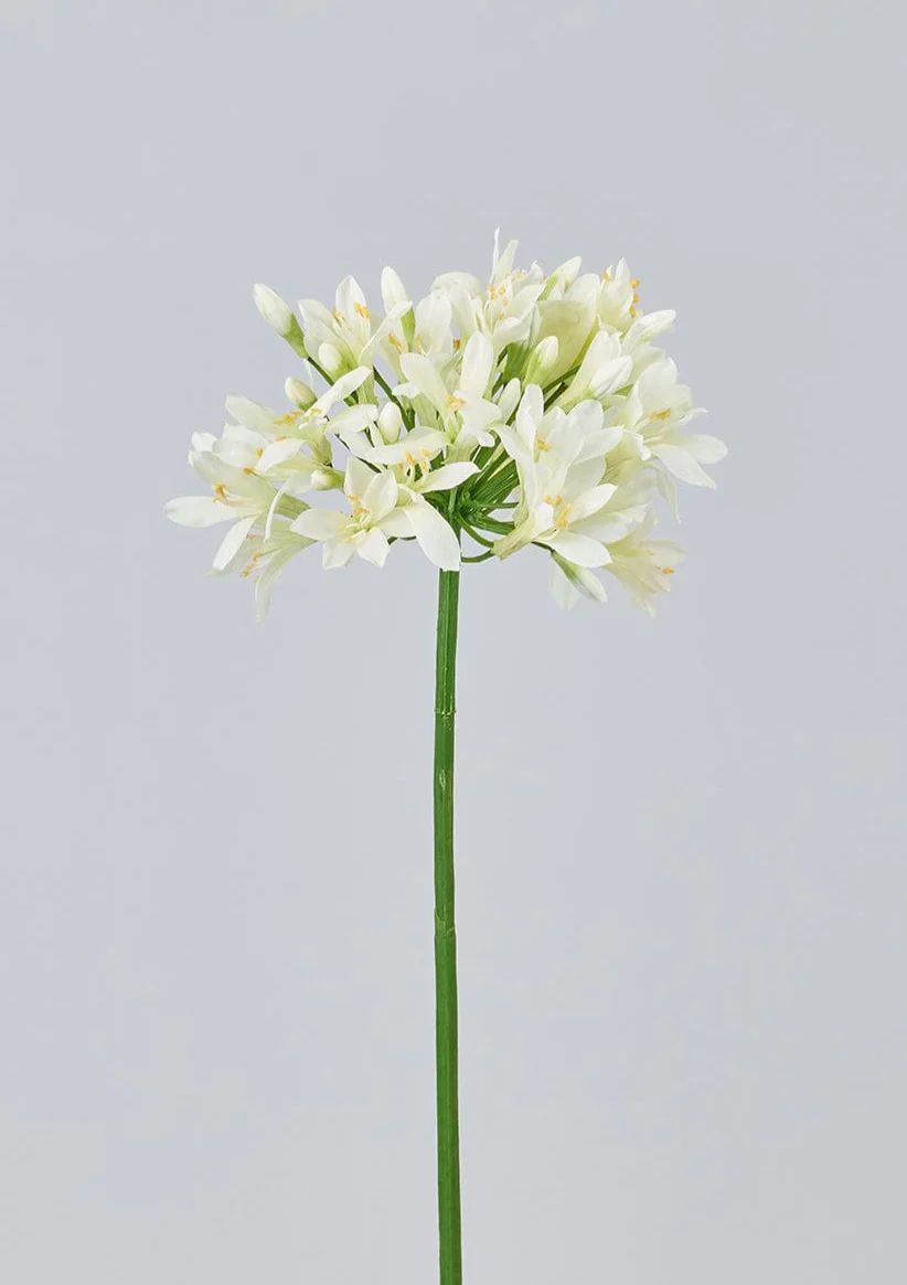 Cream Green Artificial Agapanthus Flower - 35" | Afloral