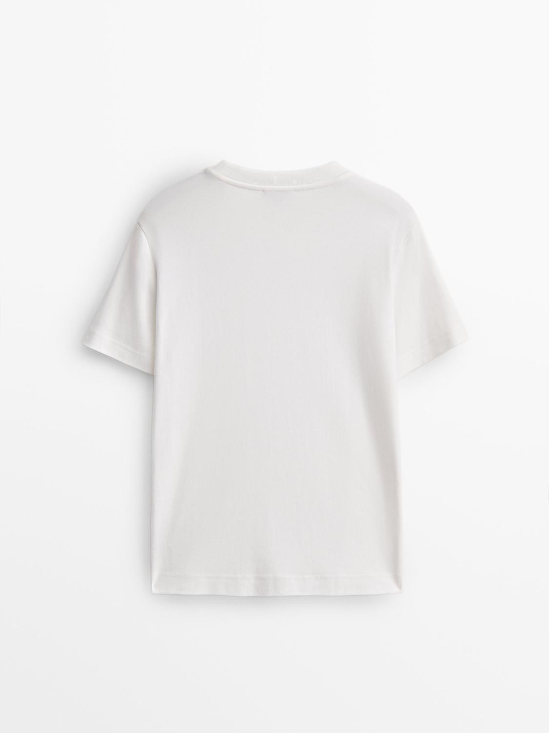 Short sleeve cotton t-shirt | Massimo Dutti US