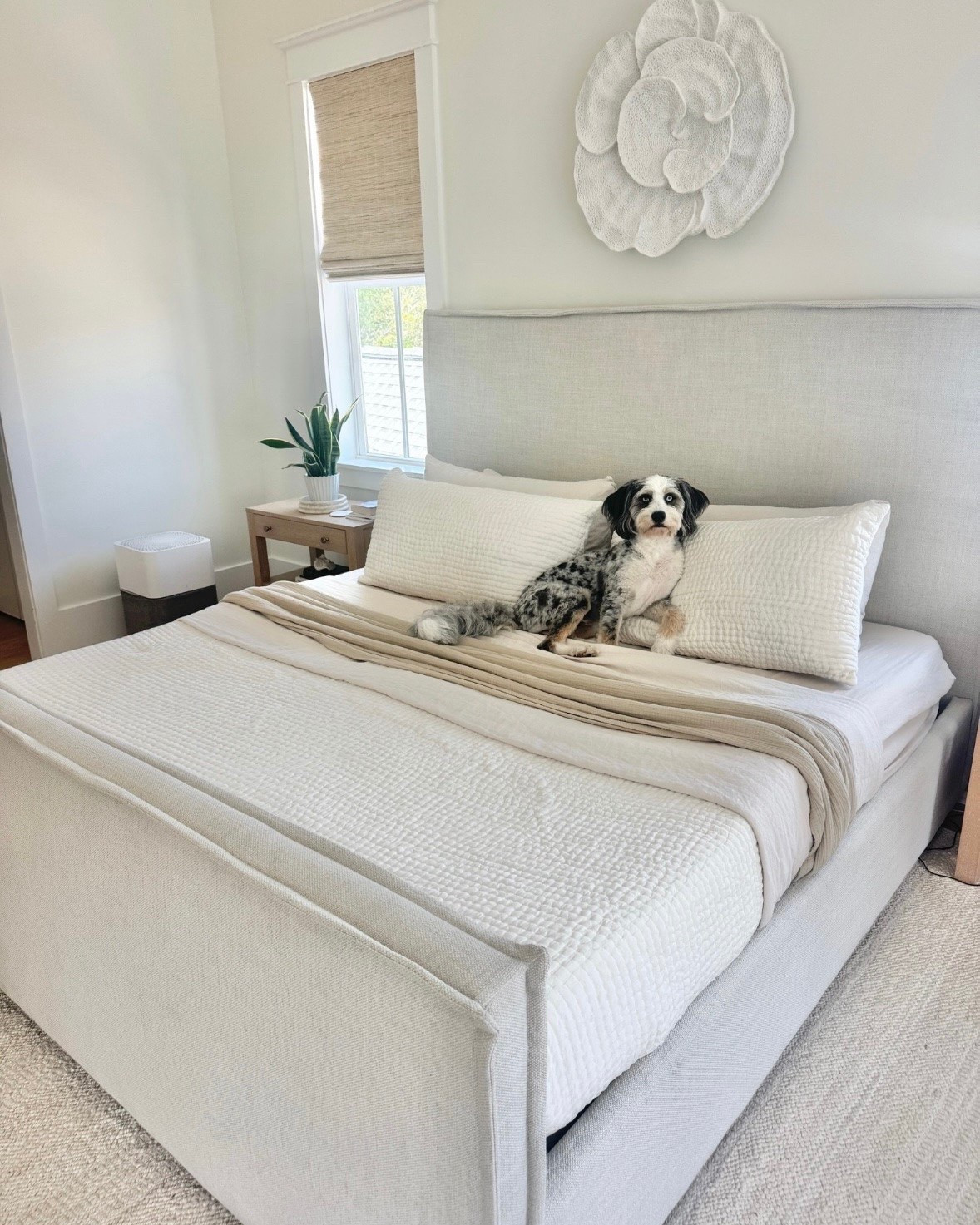 Beds I own and love! All from Wayfair. I’ve purchased my person bed (the sawyer bed) several times for ourselves and our rentals! 

@wayfair #WayfairPartner #ad  #Wayfair

#LTKHome

#LTKdayinmylife #LTKSeasonal #LTKHome