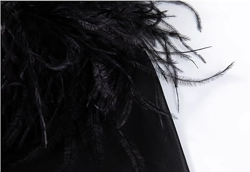 FE-19 See-Through Top with Real Feather Collar and Cuffs Silk Shirt for Women Sexy Girls Jacket | Amazon (US)