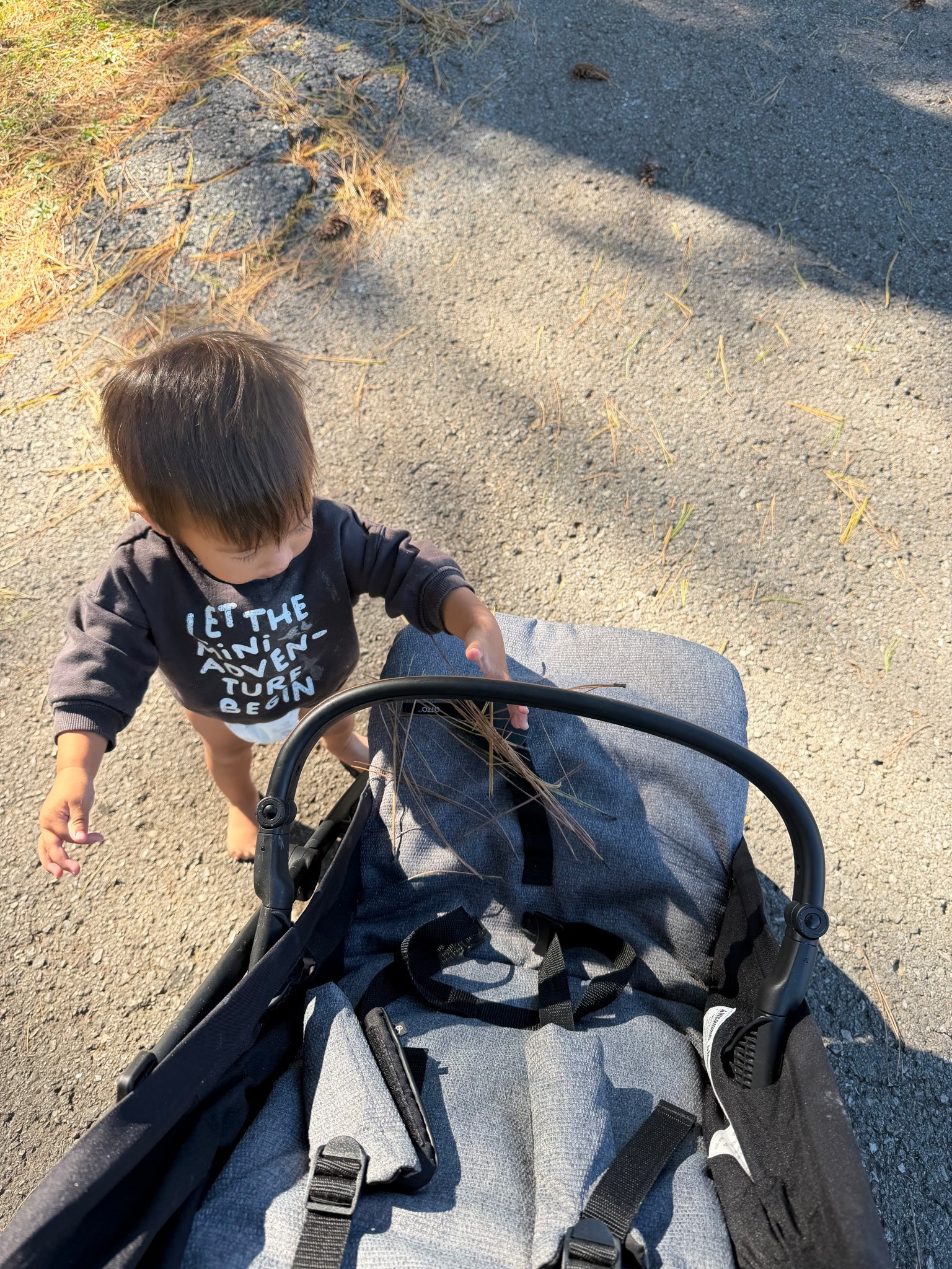 Currently the stroller we are using 🍼🚶🏻🍂