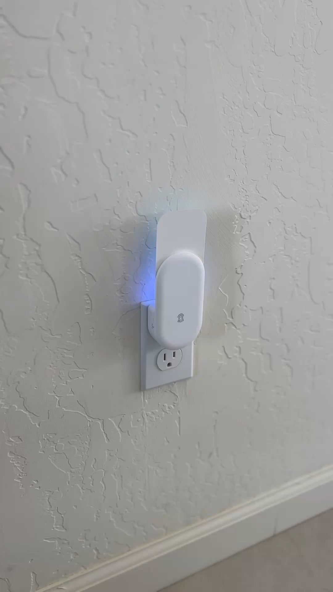 Nat/mosquito trap 

#LTKHome #LTKFamily