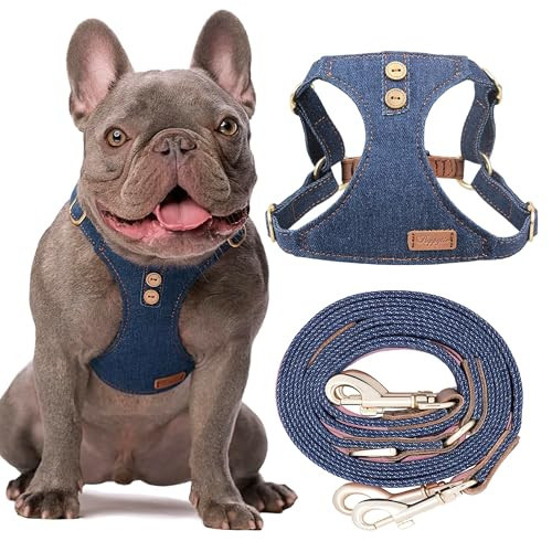 No Pull xs Dog Harness with Multifunction Dog Leash,Soft Adjustable No Choke Escape Proof Pet Harness Vest,Denim Blue,XS | Amazon (US)