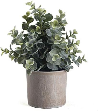 Megbeauty Small Artificial Potted Plants – House Fake Plants for Home Decor, Office - Eucalyptu... | Amazon (US)