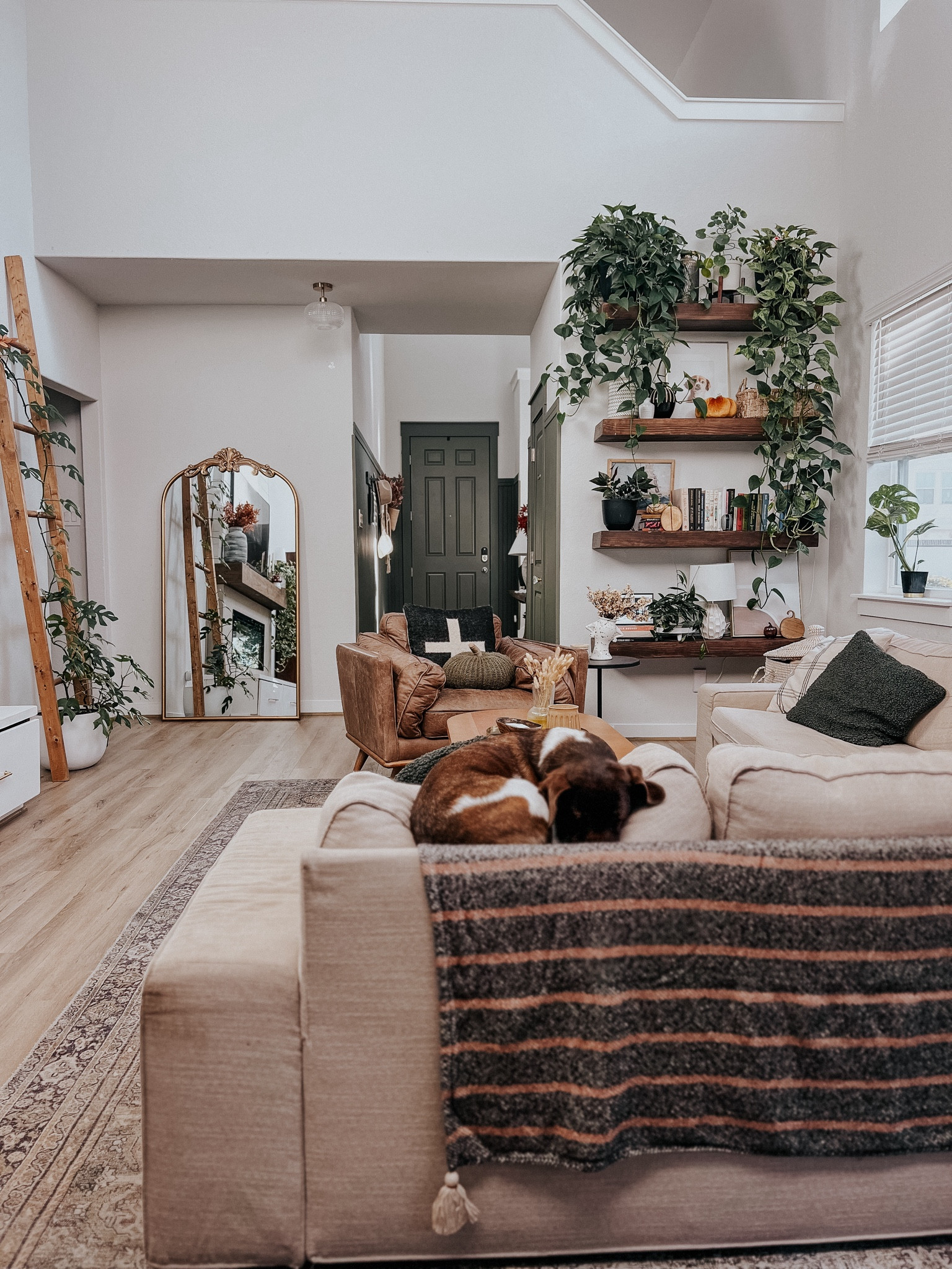 Cozy fall vibes in the living room  

#LTKHome #LTKFallSale #LTKSeasonal