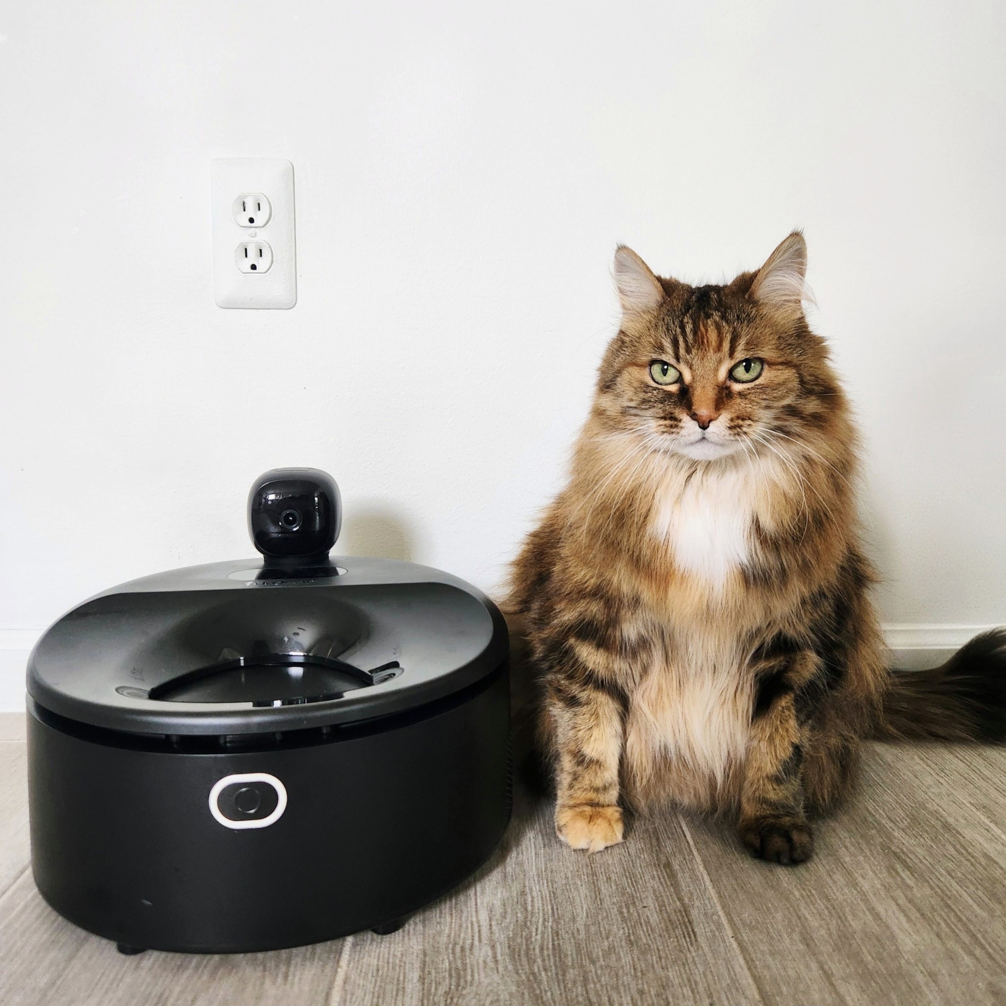#ad @Furdear_Official Mission Is Simple: To Make Pet Care Predictable, Stress-Free & Easy To Manage Every Single Day😺With My @Furdear_Official Europa E1 Cooling & Heating Wet Food Feeder, My Worry Goes Right Out The Door😌I Know Tasha Has Fresh Food, & I Am Able To Watch & Hear Her Though The App📱Food Is Fresh For 3 Days With 4°C Chilling Technology, No Spoilage🚫A Safety Auto-Lock If Paws Are Detected🐾Use My Code: Chey For 1️⃣5️⃣% Off‼️Because When Care Is Simple, Life Feels Calmer For Everyone👩🏼😺#Sponsored #Furdear #SmartPetFeeder #PetTech

