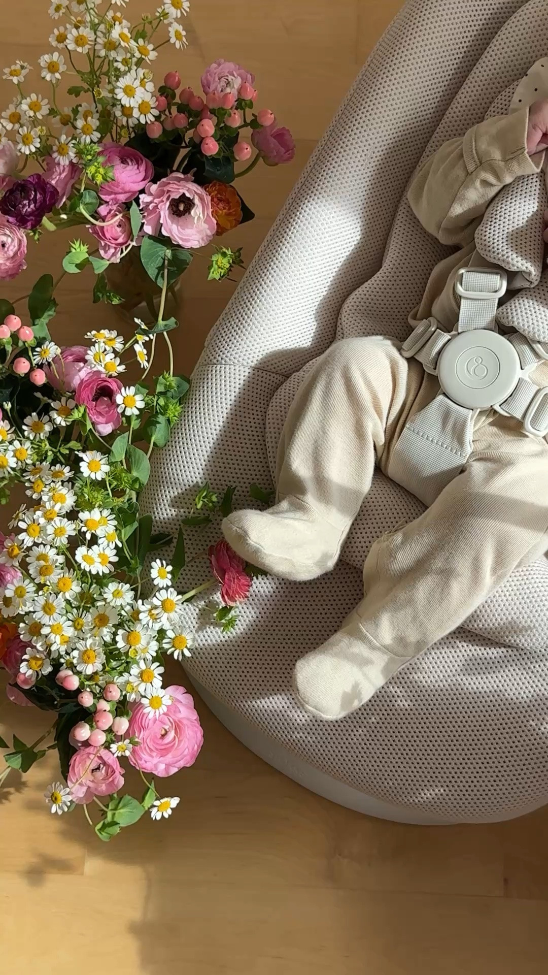The best baby bouncer by stokke