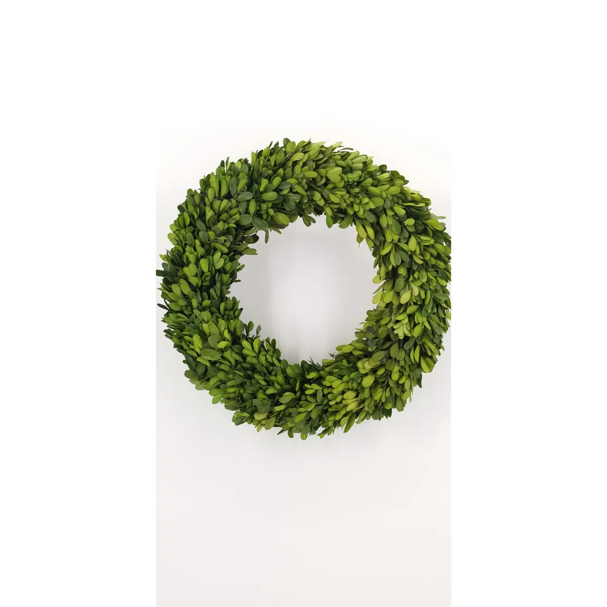 Preserved Boxwood WreathByThe Holiday Aisle®4.8Rated 4.8 out of 5 stars.206 Reviews | Wayfair North America
