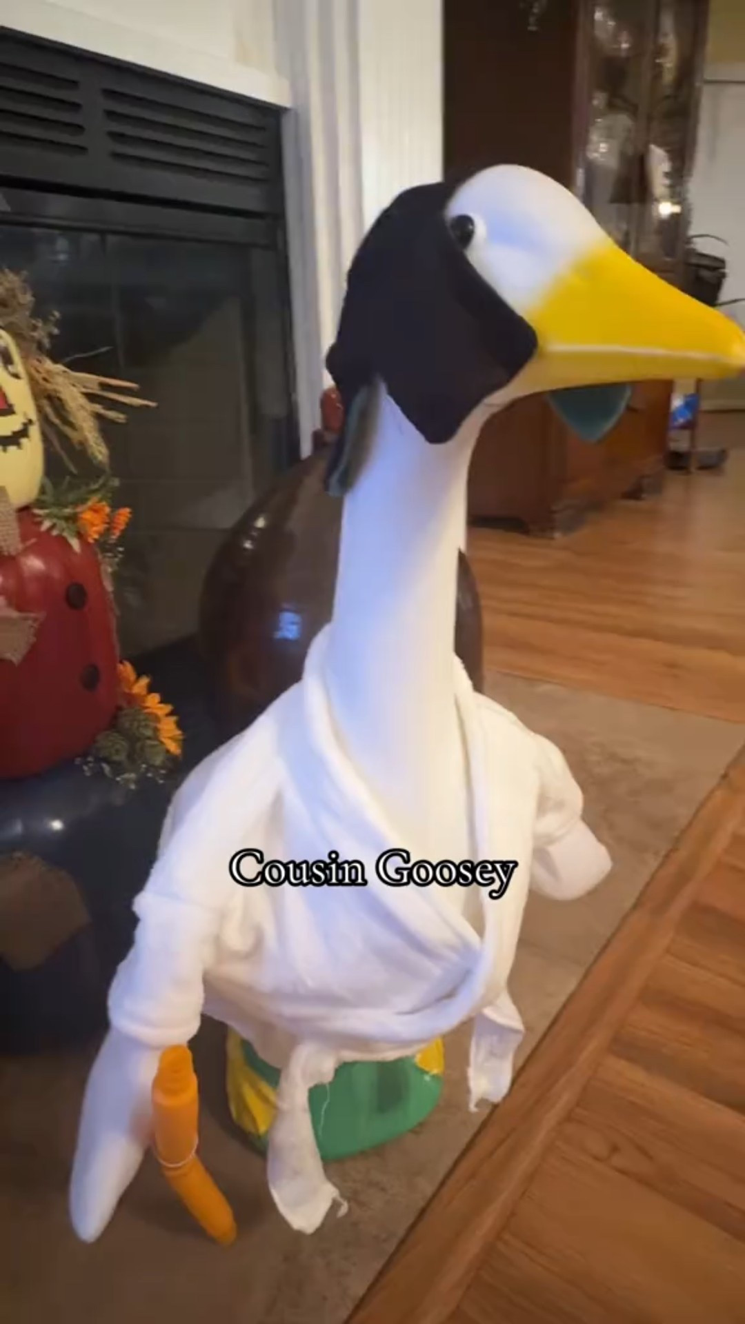 Cousin Goosey #christmasvacation 

#LTKCyberWeek #LTKHoliday #LTKFindsUnder50