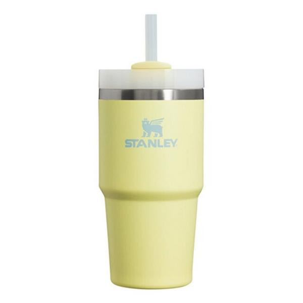 Stanley 20 oz Quencher H2.0 FlowState Tumbler | Scheels Sports