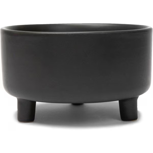 Waggo Uplift Elevated Ceramic Cat & Dog Bowl | Chewy.com