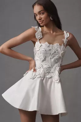 BHLDN Floral Appliqué Fit-and-Flare Mini Dress | Anthropologie (US)