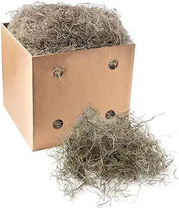 Royal Imports Preserved Natural Spanish Moss, Fresh Dried Shredded Loose Chunks, 3 LB Bulk Case | Amazon (US)
