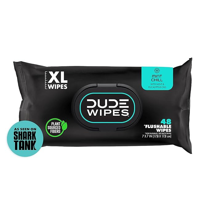 DUDE Wipes - Flushable Wipes - 1 Pack, 48 Count - Mint Chill - Vitamin-E, Aloe, Eucalyptus & Tea ... | Amazon (US)