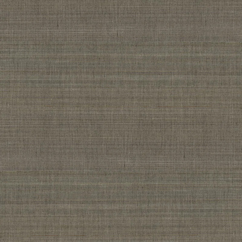 Tiemao Grass Cloth Shimmer Wallpaper Roll | Wayfair North America