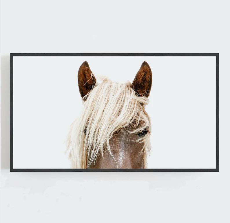 Samsung Frame TV Art, Horse Wall Art, Modern Farmhouse Decor, Horse Wall Decor, Digital DOWNLOAD,... | Etsy (US)