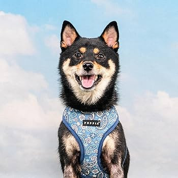 Puppia Cynthia Dog Harness A (Over-The-Head) Fashionable Paisley Pattern Spring Summer Harness fo... | Amazon (US)