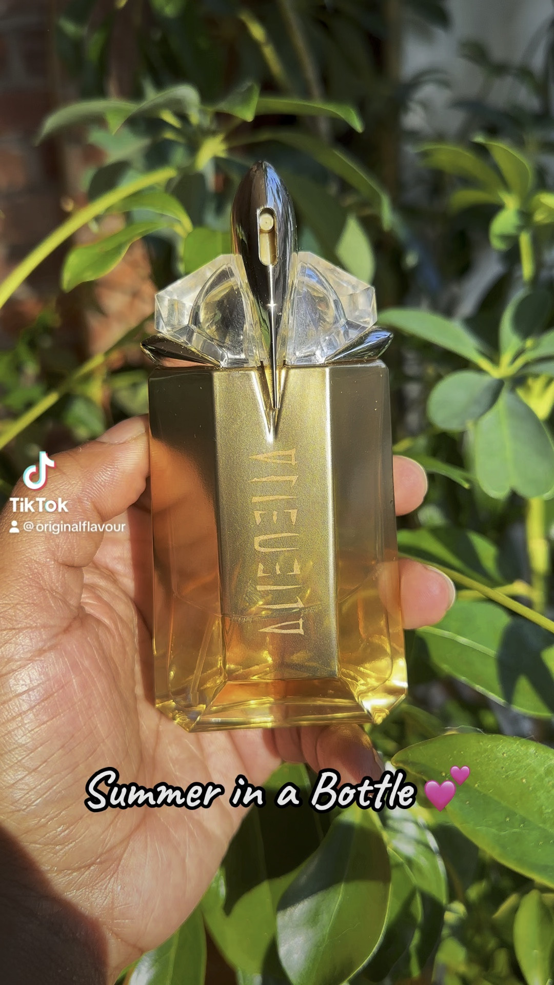 Summer in a bottle! One of my favorite summer scents with light sweet hints of coconut! 

#LTKSeasonal #LTKbeauty #LTKunder100