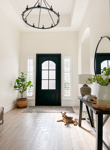 Happy New Year! Kicking off the new year with our entryway ~ it was one of my my favorite updates for 2022 with the addition of our new iron door! Linking our entryway table (I painted it Tricorn black) and decor here for you! 

#LTKhome