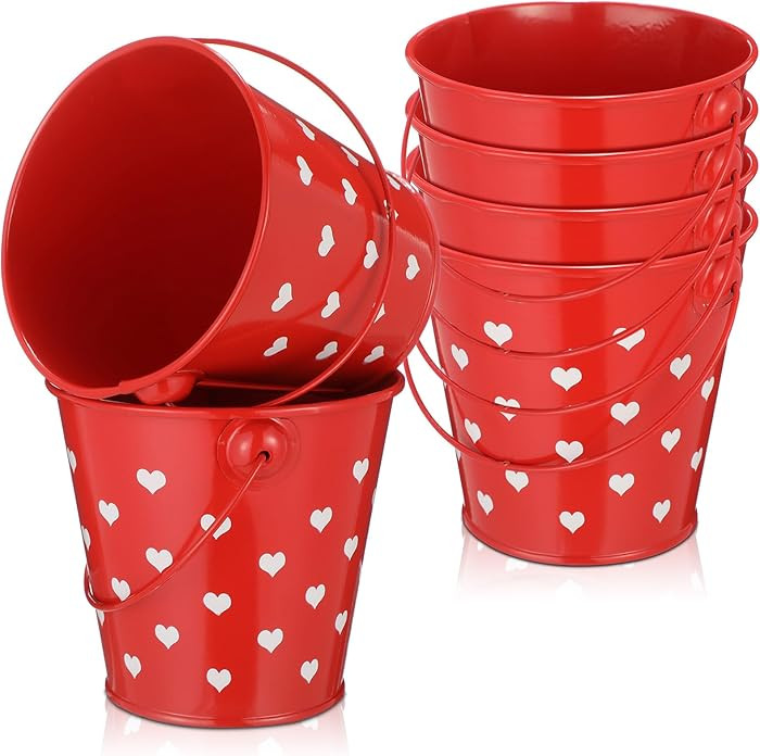 meekoo 6 Pcs Valentine Day Mini Buckets with Handle 4" Red Metal Heart Bucket Small Sand Pails Va... | Amazon (US)
