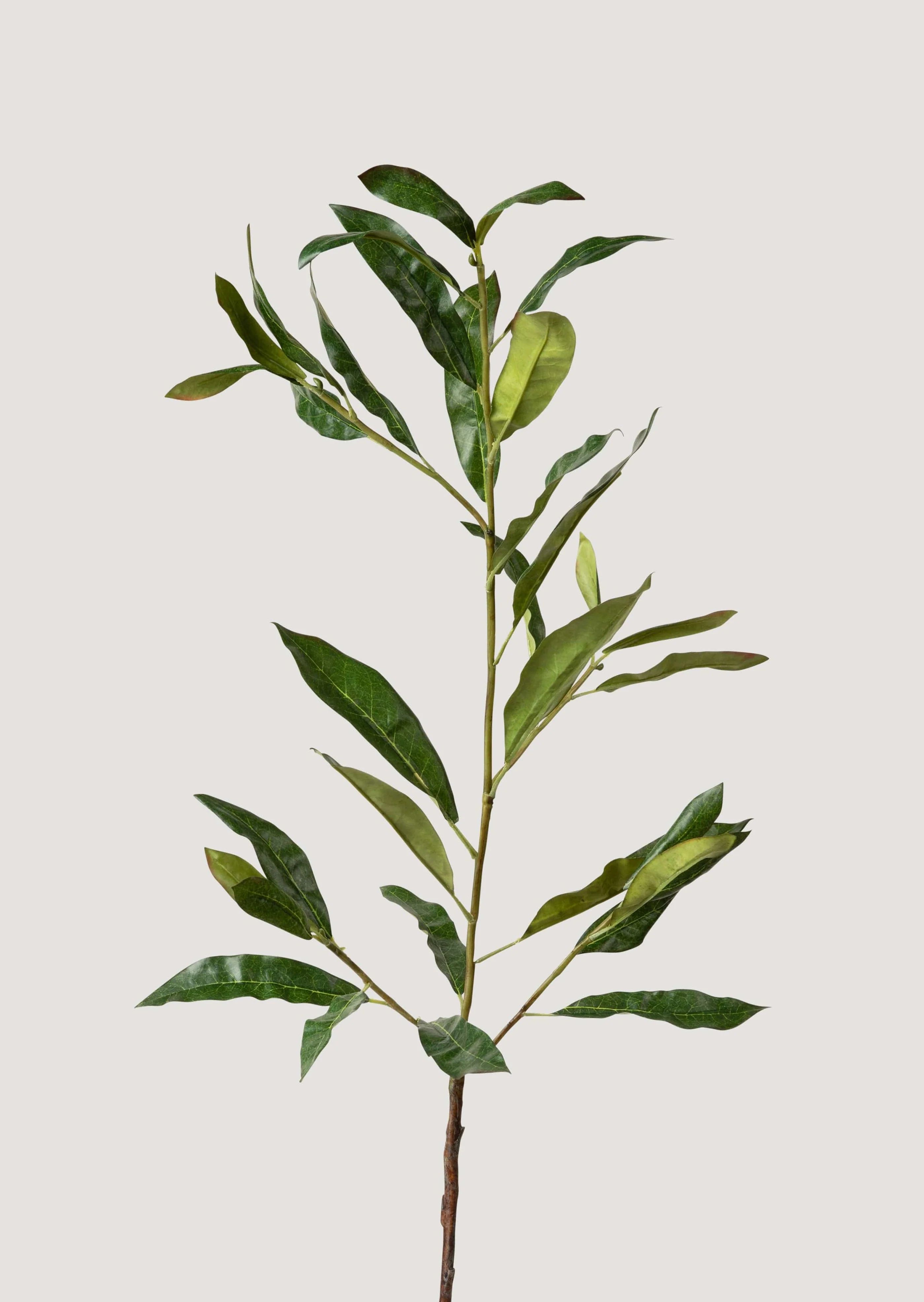 Artificial Coffee Leaf Branch - 39" | Afloral