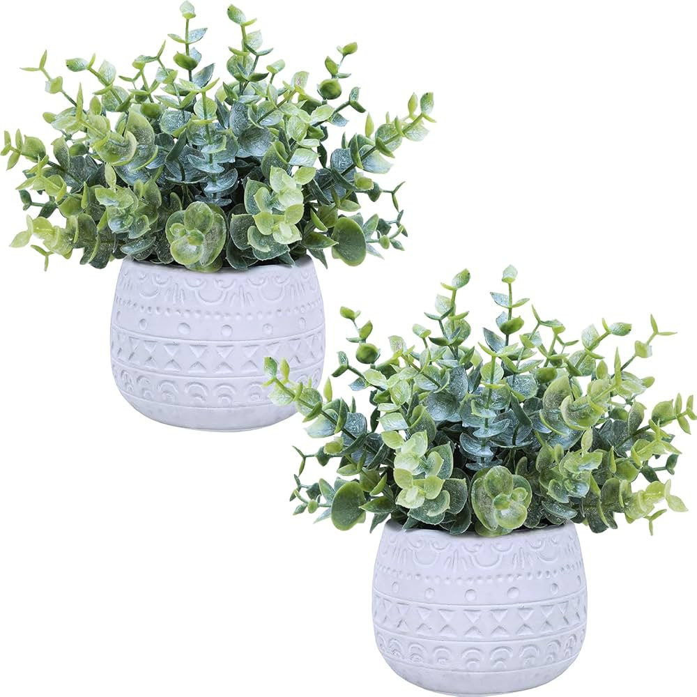 Winlyn Set of 2 Small Artificial Potted Plants Faux Eucalyptus Plant in White Geometric Ceramic P... | Amazon (US)