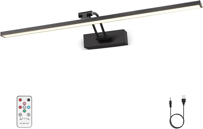 24" Picture Light Battery Operated for Wall, Wireless Art Light with Remote, Timer, 6400mAh Recha... | Amazon (US)