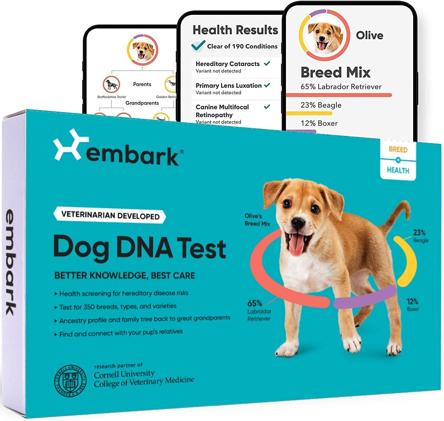 Embark | Dog DNA Test | Breed & Health Kit | Breed Identification & Canine Genetic Health Screeni... | Amazon (US)